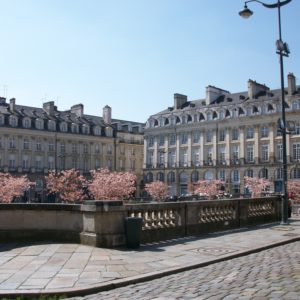 Visitez Rennes et sa région en voiture de transport avec chauffeur